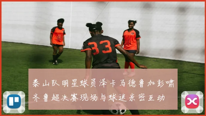 泰山队明星球员泽卡马德鲁加彭啸齐鲁超决赛现场与球迷亲密互动