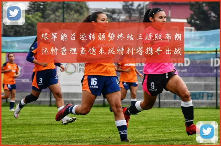 绿军能否逆转颓势终结三连败布朗怀特普理查德米诺特科塔携手出战鹈鹕