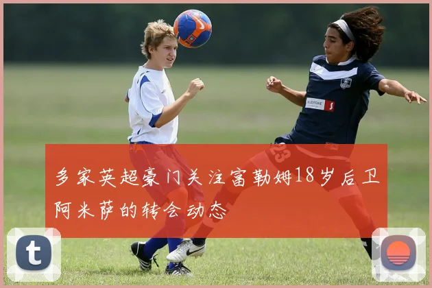 多家英超豪门关注富勒姆18岁后卫阿米萨的转会动态